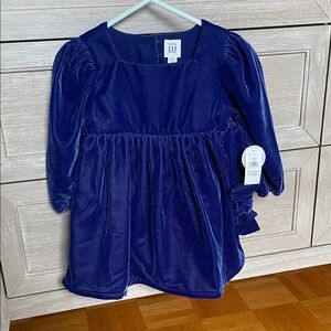 GAP Velvet Baby Dress in Royal Blue
